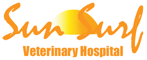 Sun Surf Veterinary Hospital